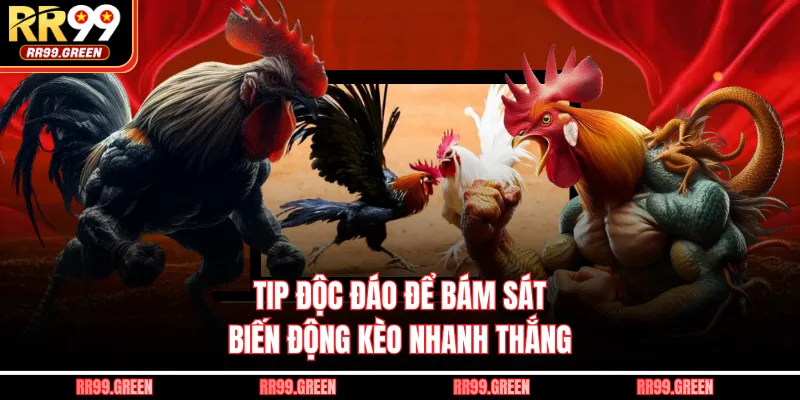 Tip độc đáo để bám sát biến động kèo nhanh thắng